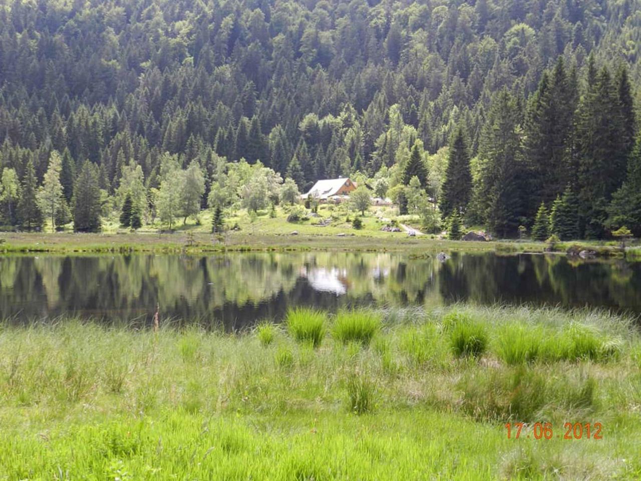 Gaestehaus Schmalzreich Lam Zewnętrze zdjęcie